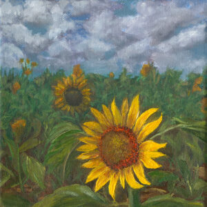 This striking impasto oil painting on a gallery-style canvas captures the radiant beauty of a sunflower field bathed in golden sunlight. Bold, textured brushstrokes bring depth and movement to the piece, with each petal and leaf meticulously crafted in rich color.
