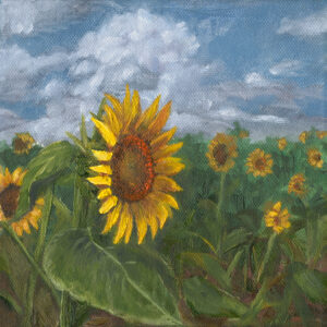This striking impasto oil painting on a gallery-style canvas captures the radiant beauty of a sunflower field bathed in golden sunlight. Bold, textured brushstrokes bring depth and movement to the piece, with each petal and leaf meticulously crafted in rich color. The bright, sun-kissed hues evoke a sense of warmth and inspiration, drawing from Matthew 5:16, which encourages us to “let your light shine before others, that they may see your good deeds and glorify your Father in heaven.”